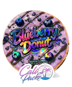 zaza blueberry donut mayler boxes